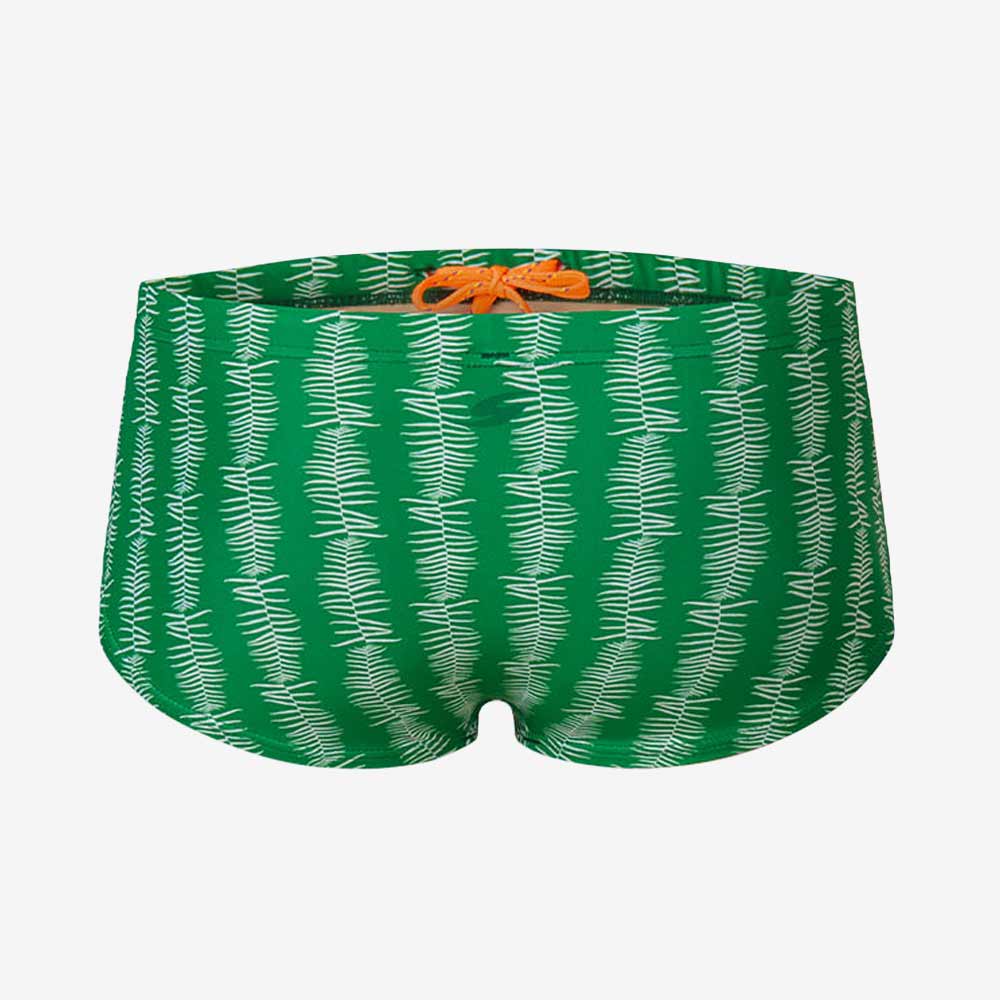 Sylba Semi Short Square Leg Swimsuit Green