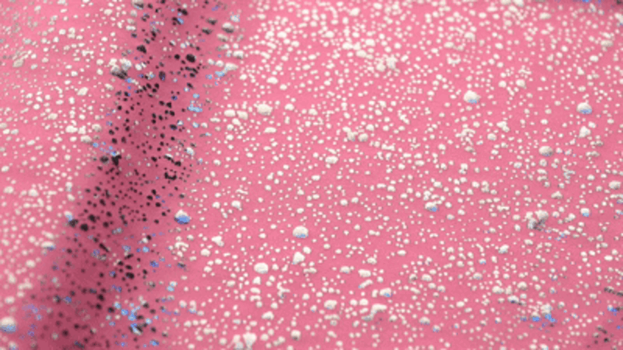 LSWON16286742_04.gif
