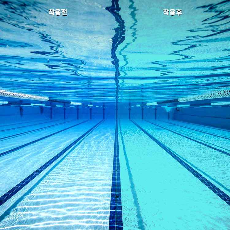 SWANS Valkyrie Premium Antifog Goggles Sky Blue [MSR-012N AB (SKBL) World Aquatics Approved] 디테일