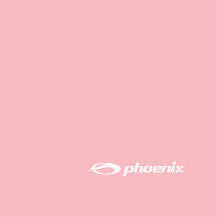 PHOENIX Solid Logo Silicone Swim Cap Pink [PCS-02 (Pink)] 디테일