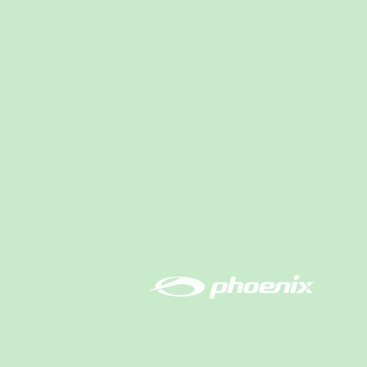 PHOENIX Solid Logo シリコン スイムキャップ ミント [PCS-02 Soild (Mint) 水泳帽] 디테일